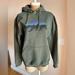 Patagonia Men’s Medium Hoodie Sweatshirt in olive green